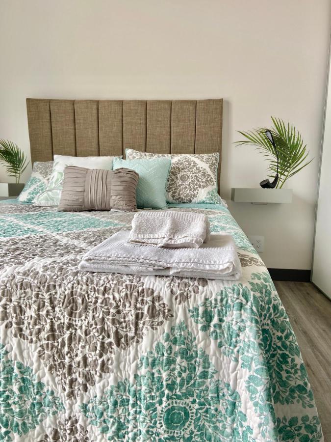 Comodo Y Elegante Apartamento En Fabuloso Condo! 聖荷西 外观 照片