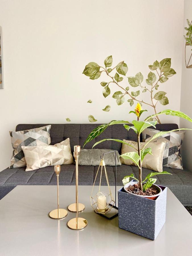Comodo Y Elegante Apartamento En Fabuloso Condo! 聖荷西 外观 照片